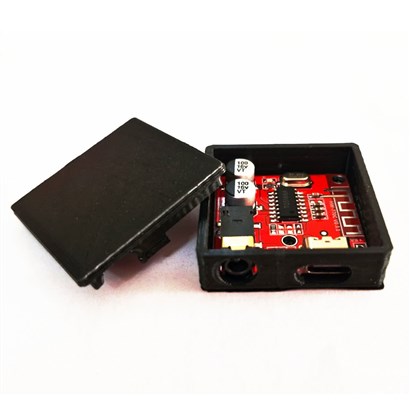 قاب ماژول بلوتوث صوتی XY-BT-MINI و HW-770 با پورت Type-C باکسی